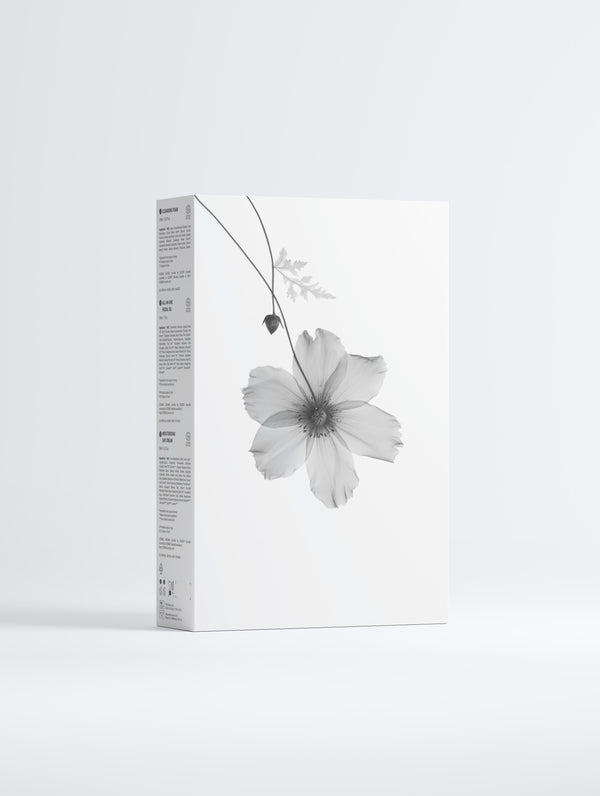 Daily Radiance Collection Box