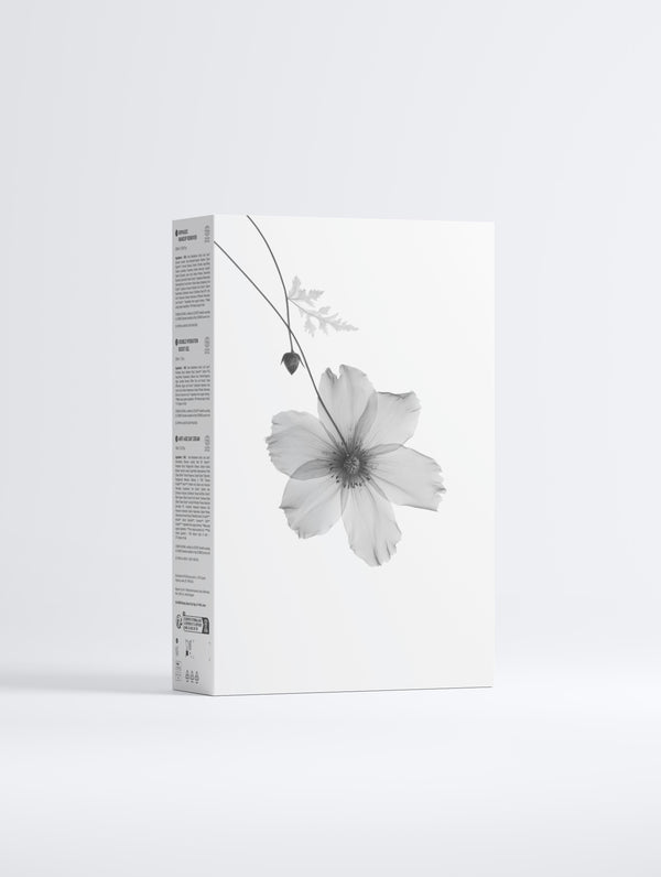 Timeless Radiance Collection Box