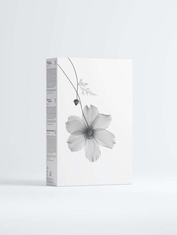 Collagen Night Routine Collection Box